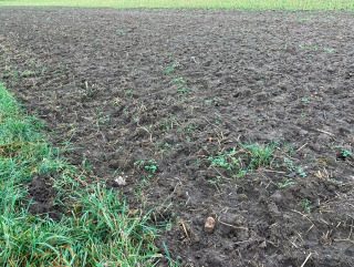 Der kleine Dienst (2) - Dienst der Liebe,Sehen