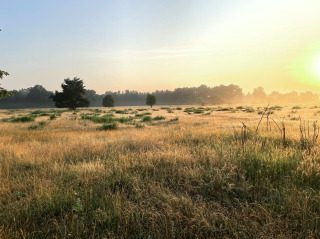 Trost seinen Kindern, die ihn lieben - auf Jesus sehn,er ist da