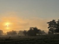 Gott, ist da - Stille,Schönheit,Schweigen,Anbeten