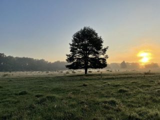 Im guten Vater - Vertrauen,nicht sorgen,an den Vater denken