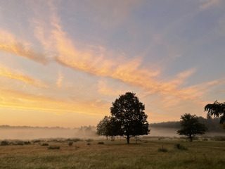 Licht ist dein Kleid - Licht,Kleid