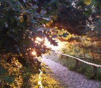 Wenn ich gehe - Gedicht,Gedanken