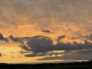 Das neue Jahr ... - Gnade,Barmherzigkeit,Vergebung,Jesus,Umkehr