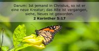 Warum muss ein Sünder wiedergeboren werden? - Die Wiedergeburt des Menschen,eine Wiederbelebung des Geistes