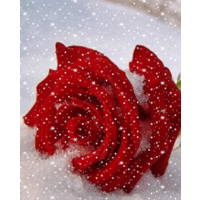 MAMA - mutter,du dich