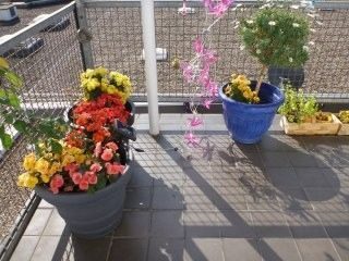 Die Bedürftigkeit - Mitgefühl,Bedürftigen