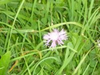 8.45 Uhr - Kaffee,gegem