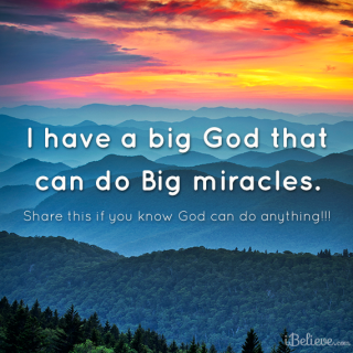 Das Wochenende steht vor der Tür - Kuh,einsam