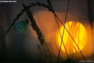 Im Licht der aufgehenden Sonne... - Zweifel,Ängste,Sorgen,Mut,Sieg