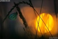 Im Licht der aufgehenden Sonne... - Zweifel,Ängste,Sorgen,Mut,Sieg