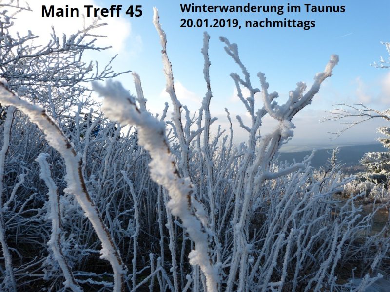 Winterwanderung im Taunus - Gruppenevent - Schmitten - Main Treff 45