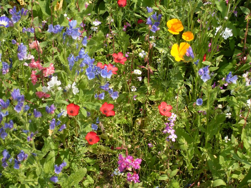 Freizeittreff Solingen und Umgebung  (+50km) Deutschland