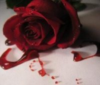 getrennt / geschieden / wiederverheiratet / verwitwet: Forum für wiederverheiratete Christen