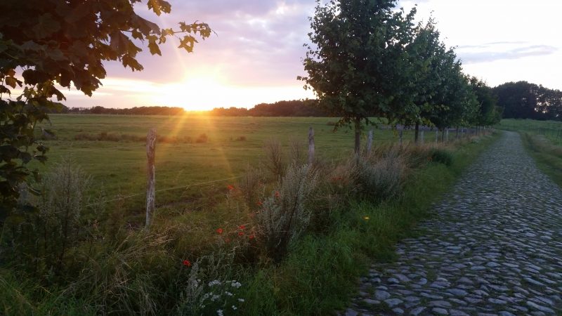 Partnervermittlung im norden