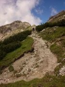 Mountainbiker im Allgäu und benachbarten Tirol: Mountainbiker im Allgäu Füssen und auch dem benachbarten Tirol