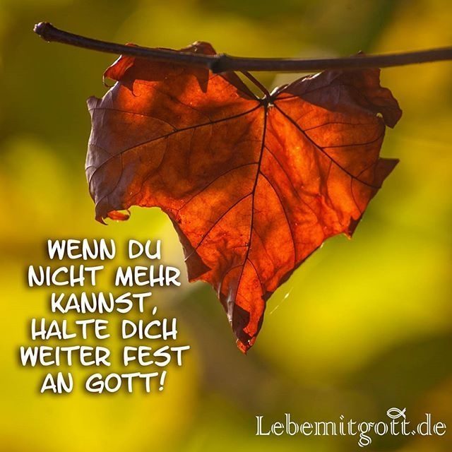Christliche partnersuche erfahrungen