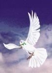 Jesus is the perfect Love, God is the best father ever, Holy Spirit is my leader: Jesus is King