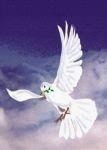 Jesus is the perfect Love, God is the best father ever, Holy Spirit is my leader: Jesus is King