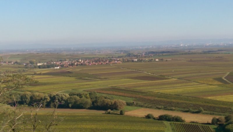 Partnervermittlung rheinland-pfalz