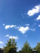 Hannover Umland: Gemeinschaft leben statt suchen