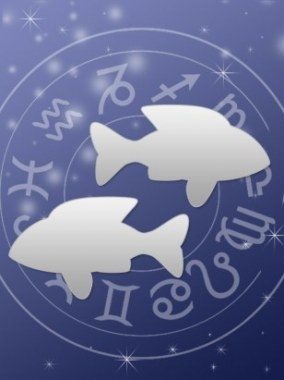 Fisch partnervermittlung