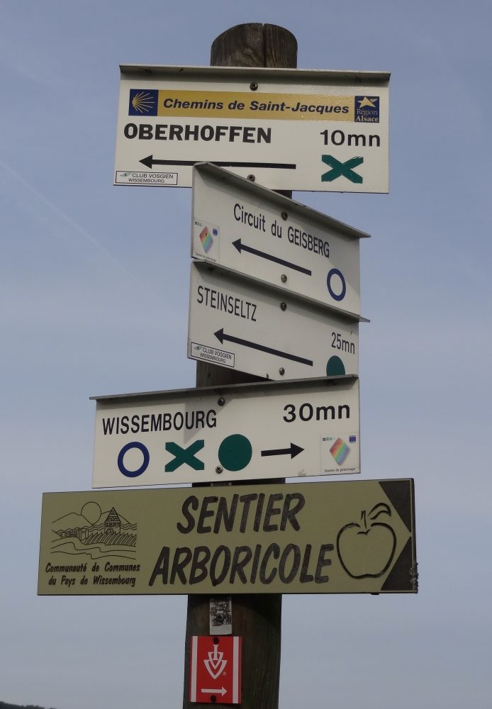 Wer pilgert mit?: Pilgern