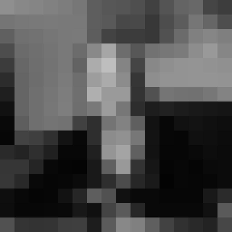 Singleborse syke