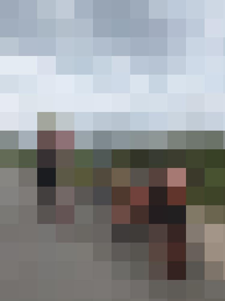 Danidani Zusatzbild #8