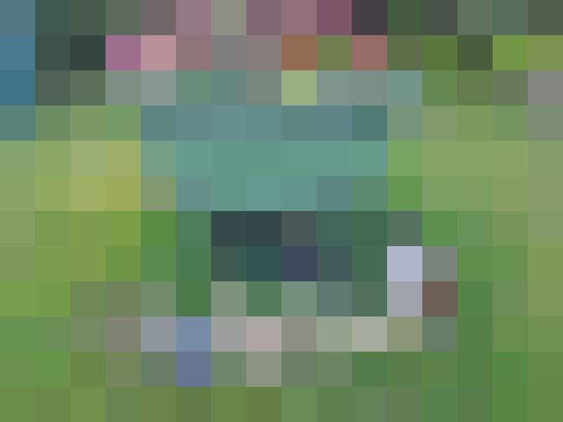 GreenGarden Zusatzbild #8
