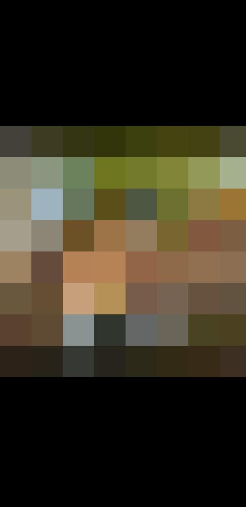 Petersilie Zusatzbild #11