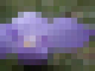 Admin Zusatzbild #5