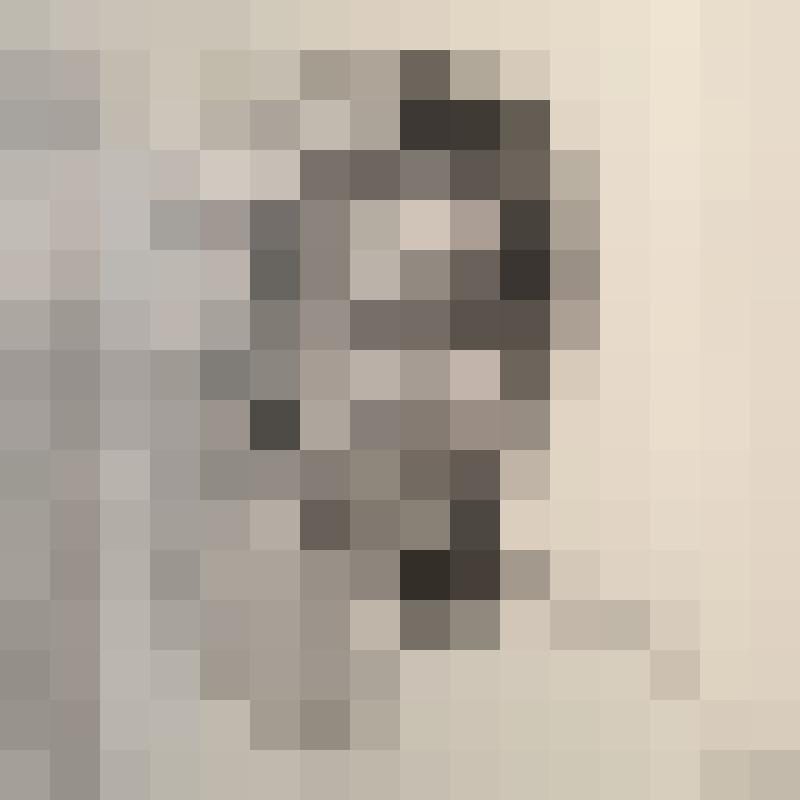 Ljena_Lion Zusatzbild #2