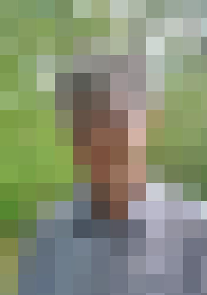 Veilchen51w Profilbild