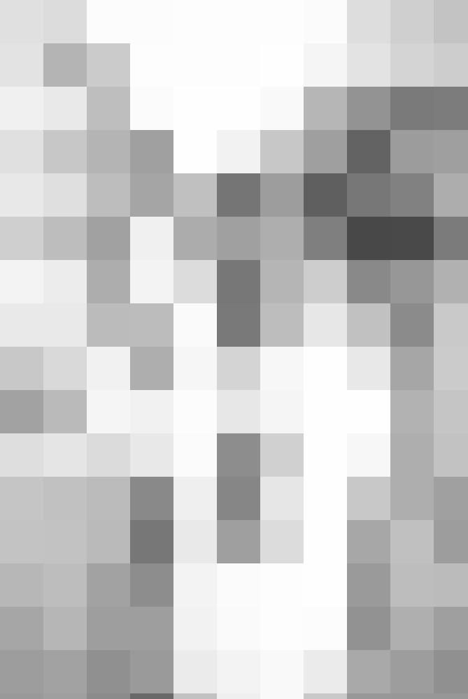 mosas Profilbild