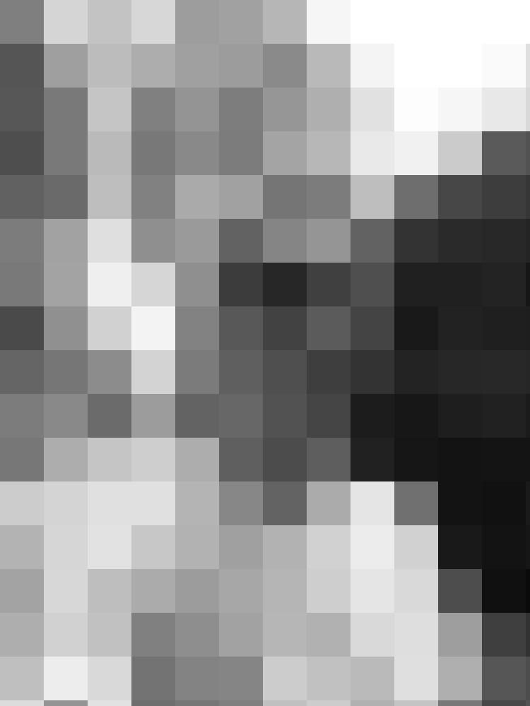 mosas Zusatzbild #6