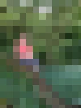 Nessilein Zusatzbild #1