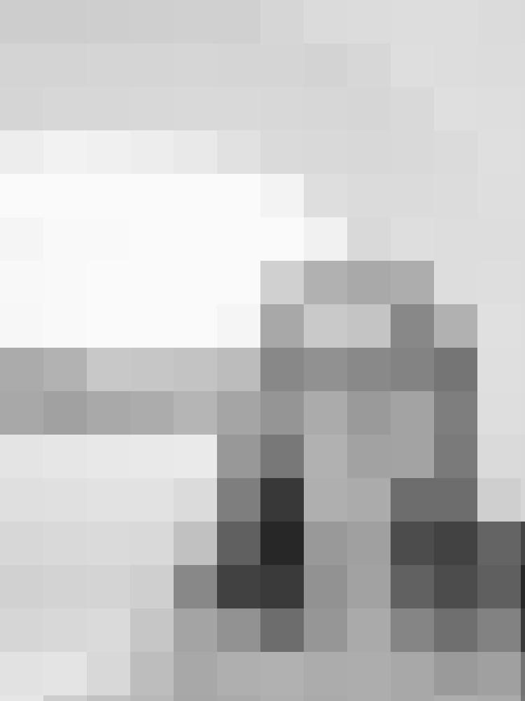 Madmarie Profilbild