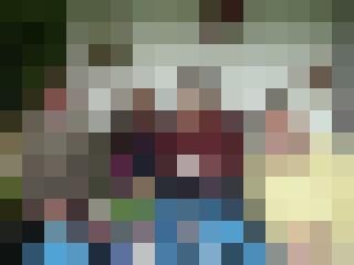 Frankie Zusatzbild #9