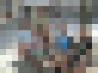 Frankie Zusatzbild #10