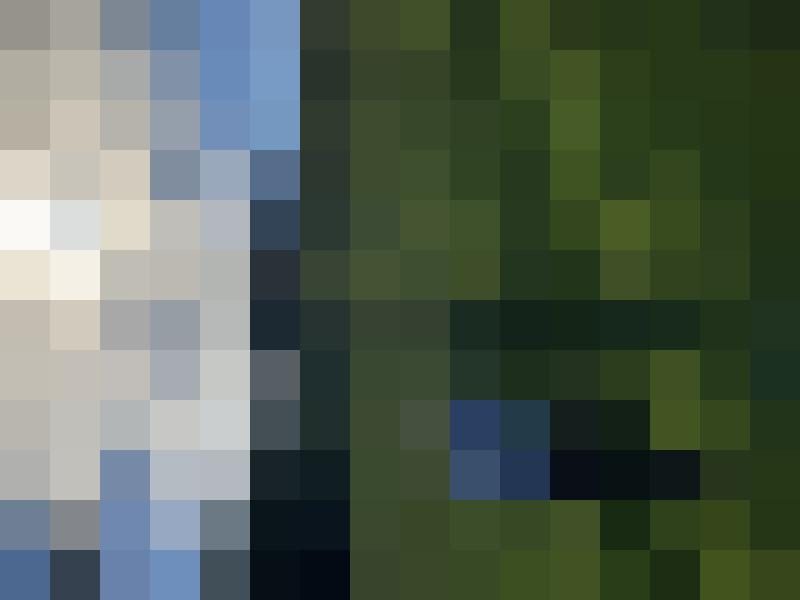 Baum100 Profilbild