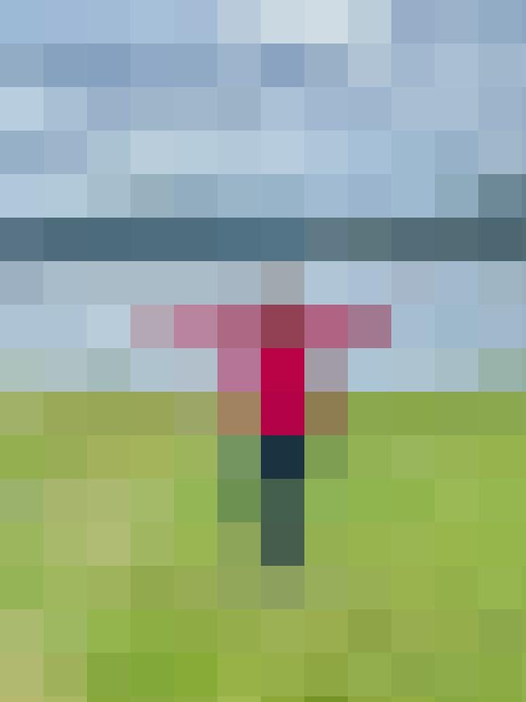 Biti Zusatzbild #1