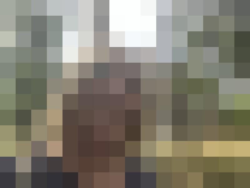 Franken-Lady Zusatzbild #3