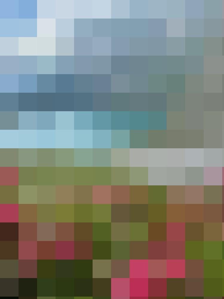 Schoggiherz Zusatzbild #7