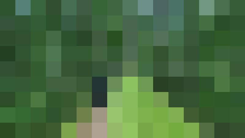 -pathfinder- Profilbild