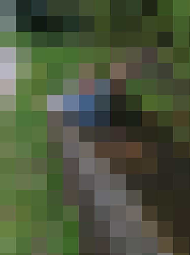 -pathfinder- Zusatzbild #6