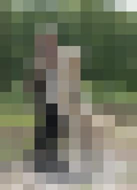schutzgeist Zusatzbild #2