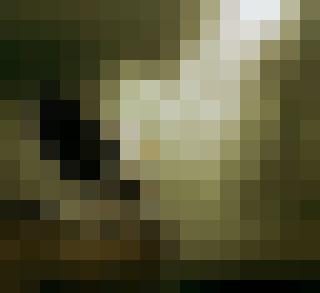 schutzgeist Zusatzbild #5