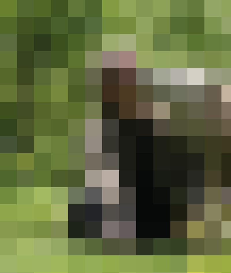 schutzgeist Zusatzbild #7