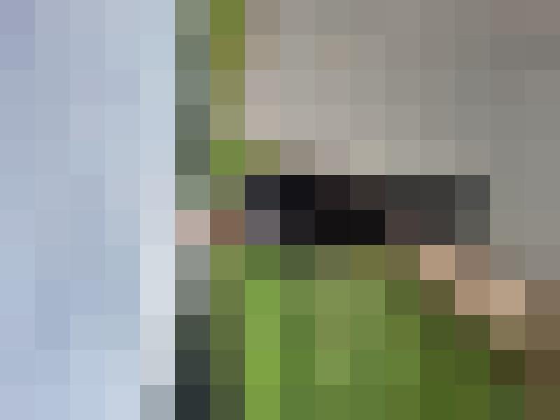 Willy1962 Profilbild