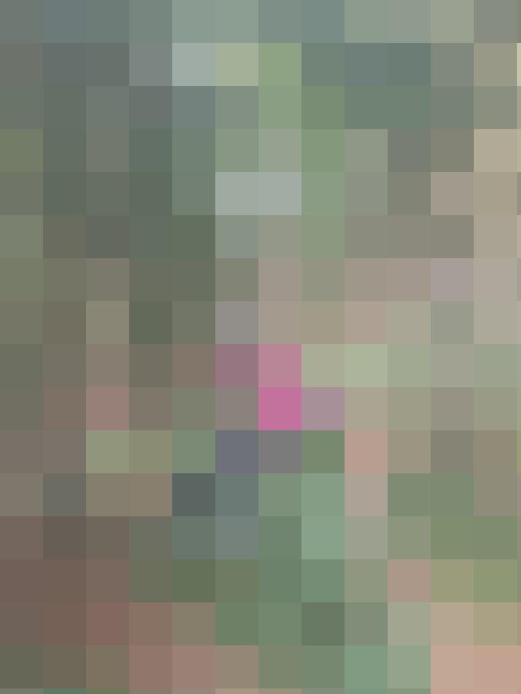 Reiselust2025 Zusatzbild #9
